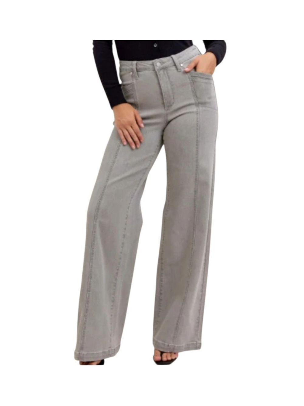 Judy Blue Women's Gray High Rise Retro Wide Leg Front Seaming Jeans Size 24W